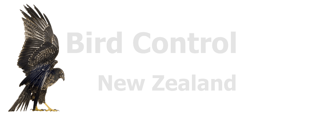 Bird Control Logo