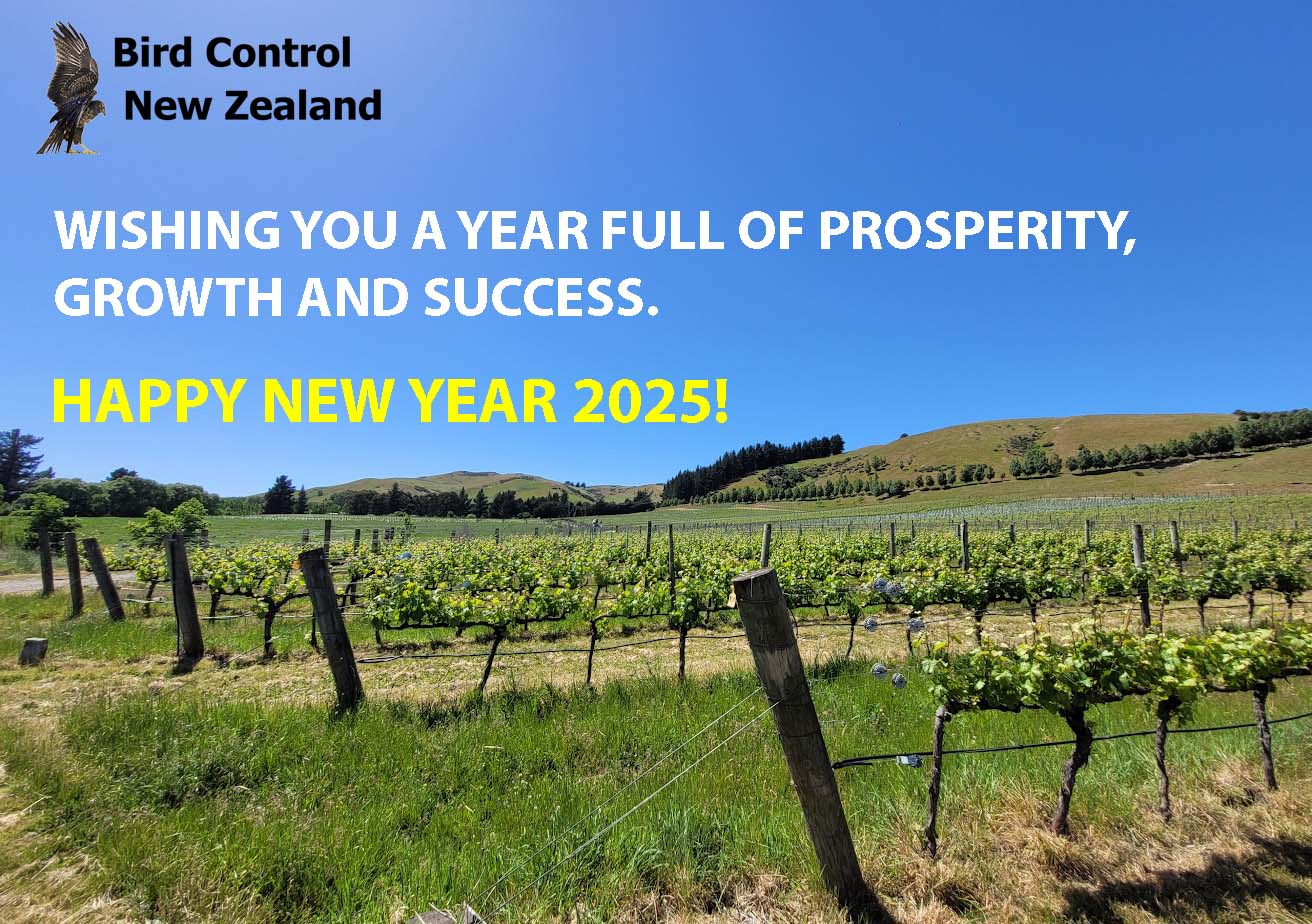 Happy New Year 2025