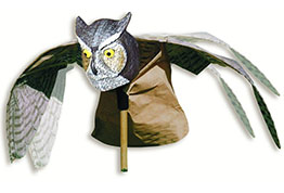 Prowler Owl